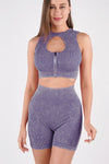 LC2611586-P108-S, LC2611586-P108-M, LC2611586-P108-L, Dark Purple Ribbed Zip Up Cutout Crop Top With Shorts Active Set