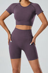 PACK2611615-P308-1, Valerian Breathable Mesh Ribbed High Waist Cropped Yoga Set