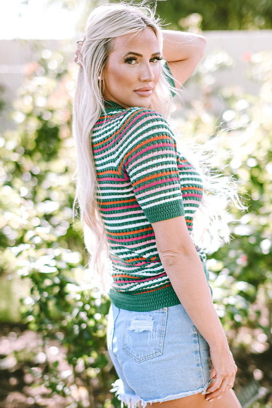 PACK277075-P209-1, Dark Green Striped Pattern Contrast Trim Pointelle Knit T Shirt